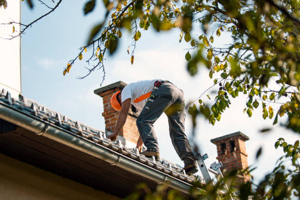 Best Roof Gutter Cleaning  in Kelly Ridge, CA