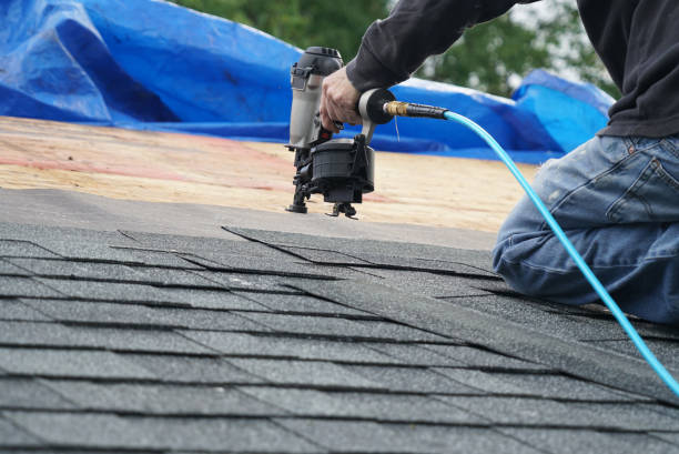Roof Gutter Cleaning in Kelly Ridge, CA